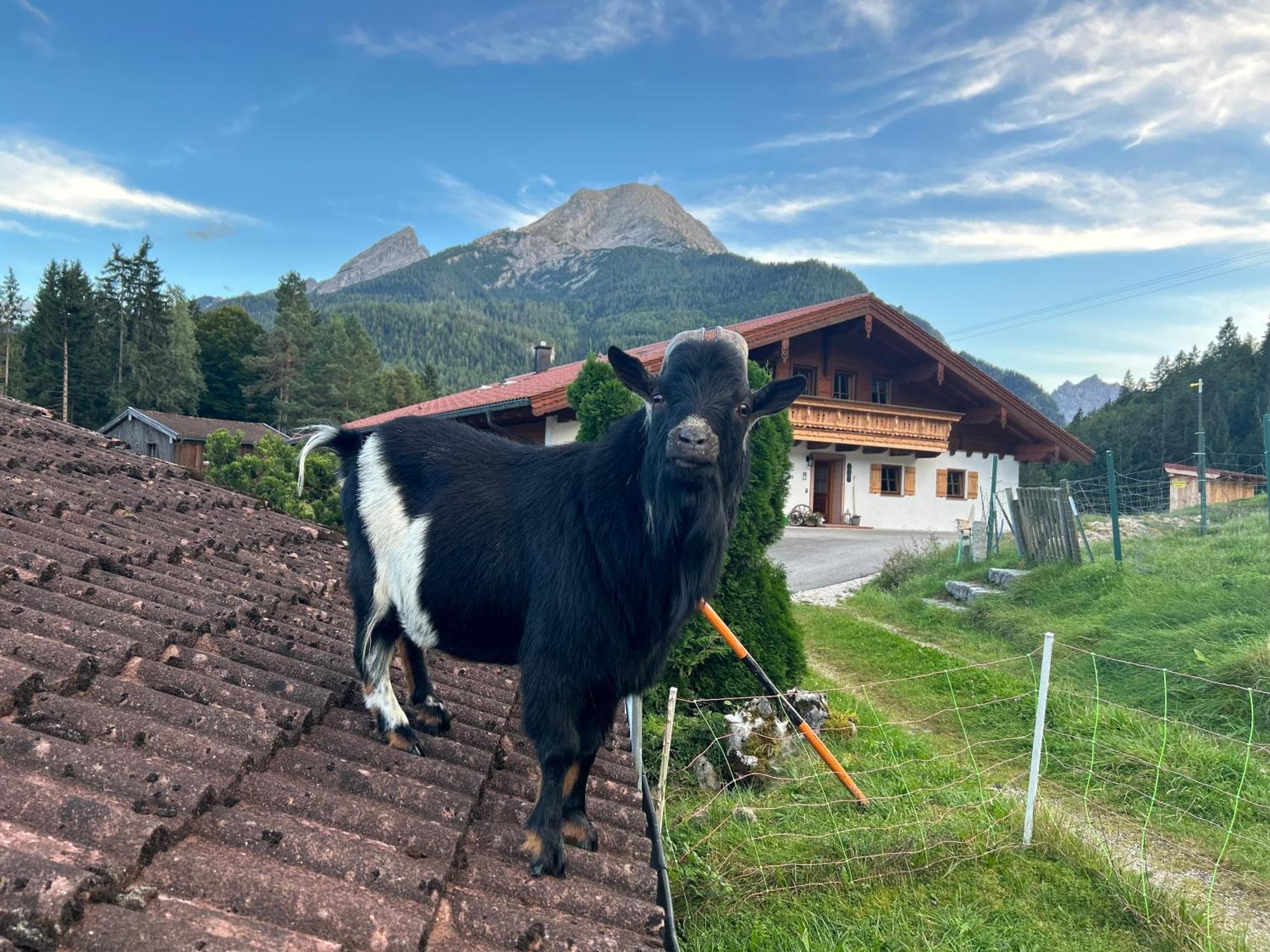 Auf'M Feggenlehen Hotel Ramsau bei Berchtesgaden Exterior foto